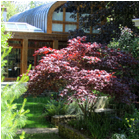 Linden Garden